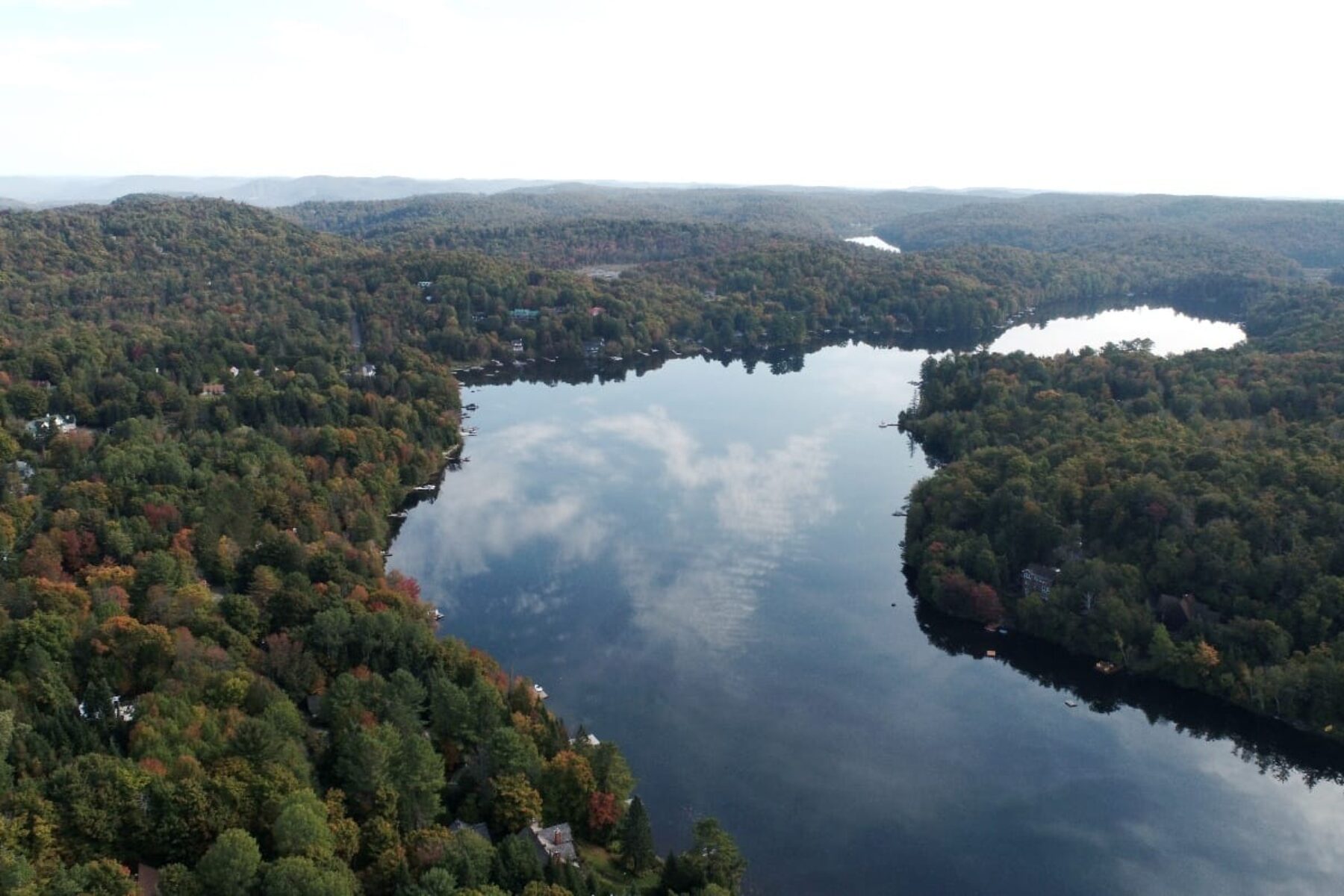 carignan-becs-scie-img-01